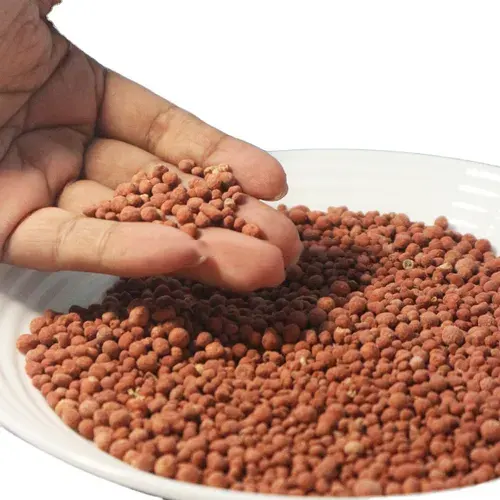 NPK Fertilizer